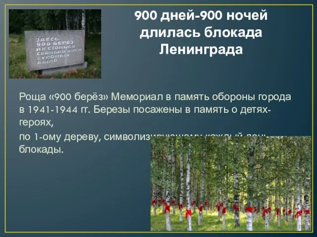 900 дней-900 ночей длилась блокада Ленинграда Роща «900 берёз» Мемориал в