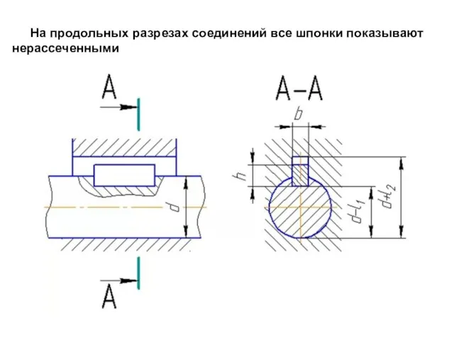 На продольных разрезах соединений все шпонки показывают нерассеченными