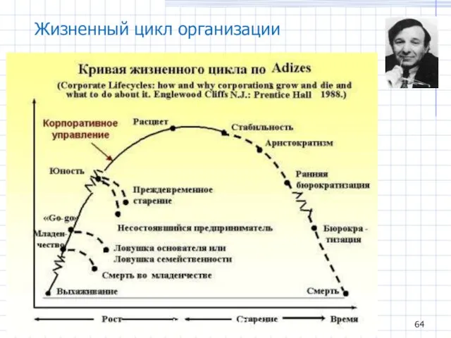 Жизненный цикл организации Шуткина Елена Владимировна
