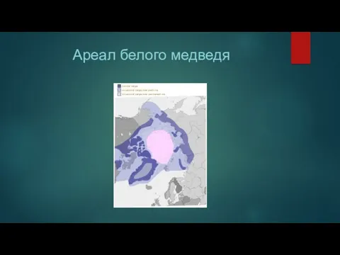 Ареал белого медведя