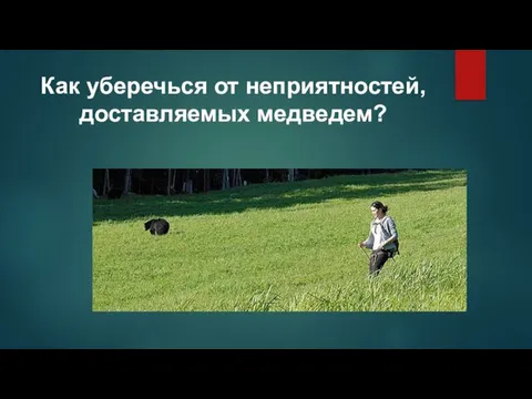 Как уберечься от неприятностей, доставляемых медведем?