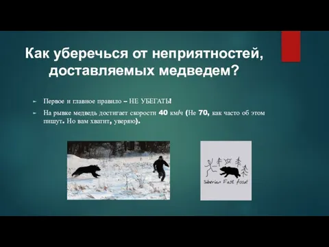 Как уберечься от неприятностей, доставляемых медведем? Первое и главное правило –