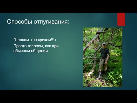 Способы отпугивания: Голосом (не криком!!!) Просто голосом, как при обычном общении