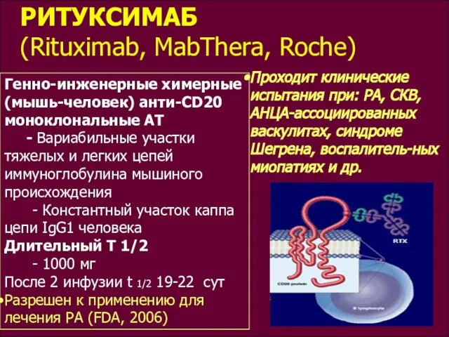 Генно-инженерные химерные (мышь-человек) анти-CD20 моноклональные АТ - Вариабильные участки тяжелых и