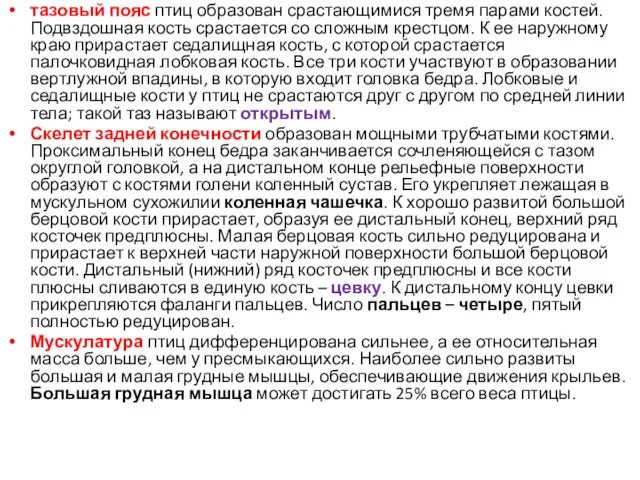 тазовый пояс птиц образован срастающимися тремя парами костей. Подвздошная кость срастается