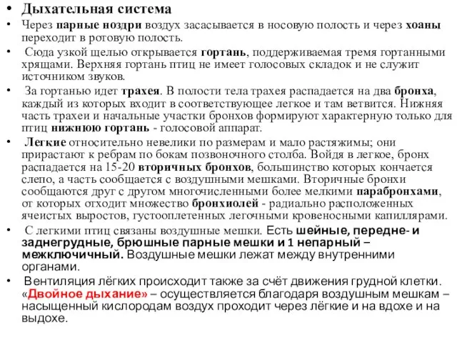 Дыхательная система Через парные ноздри воздух засасывается в носовую полость и