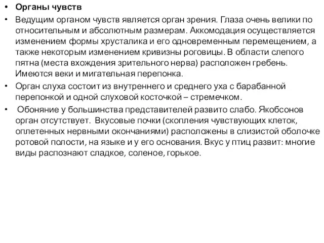 Органы чувств Ведущим органом чувств является орган зрения. Глаза очень велики