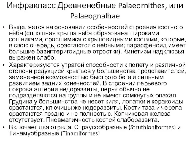 Инфракласс Древненебные Palaeornithes, или Palaeognalhae Выделяется на основании особенностей строения костного