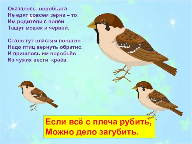 Оказалось, воробьята Не едят совсем зерна – то: Им родители с