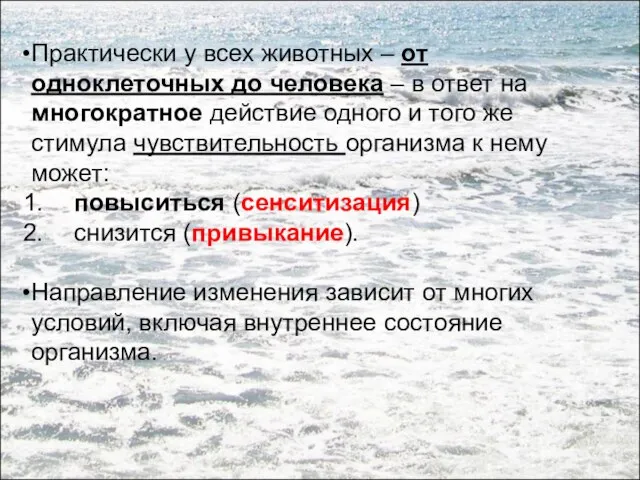 Практически у всех животных – от одноклеточных до человека – в