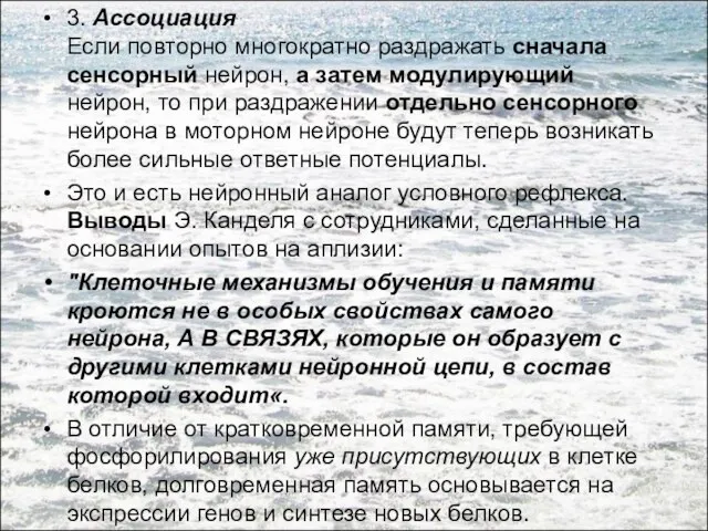 3. Ассоциация Если повторно многократно раздражать сначала сенсорный нейрон, а затем