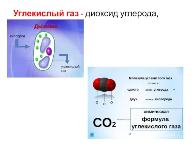 Углекислый газ - диоксид углерода, СО2.