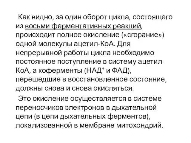 Как видно, за один оборот цикла, состоящего из восьми ферментативных реакций,