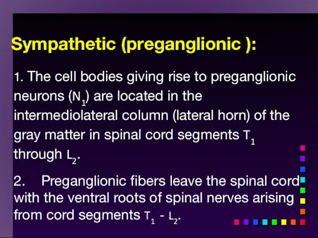 Sympathetic (preganglionic ): 1. The cell bodies giving rise to preganglionic