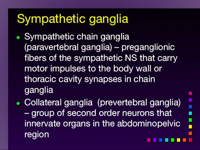 Sympathetic ganglia Sympathetic chain ganglia (paravertebral ganglia) – preganglionic fibers of