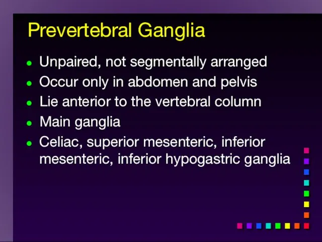 Prevertebral Ganglia Unpaired, not segmentally arranged Occur only in abdomen and