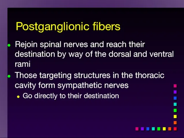 Rejoin spinal nerves and reach their destination by way of the