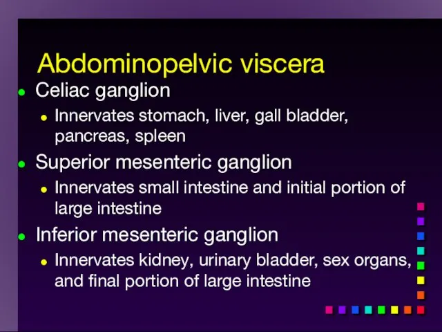 Celiac ganglion Innervates stomach, liver, gall bladder, pancreas, spleen Superior mesenteric