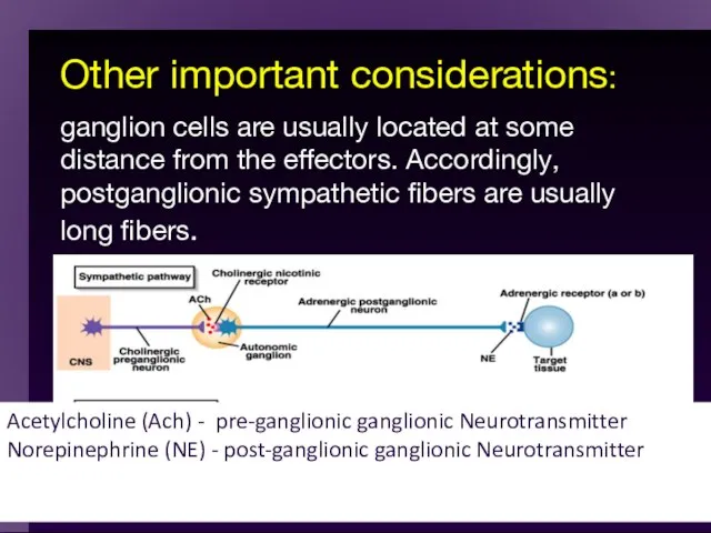 Other important considerations: ganglion cells are usually located at some distance