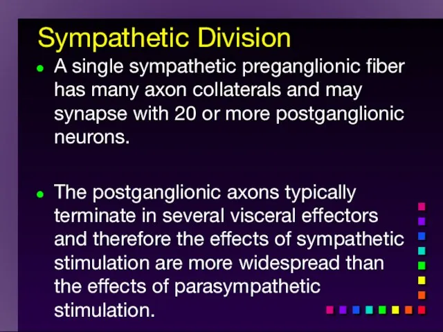 Sympathetic Division A single sympathetic preganglionic fiber has many axon collaterals