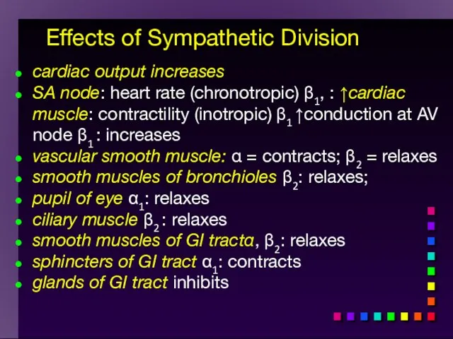 Effects of Sympathetic Division cardiac output increases SA node: heart rate