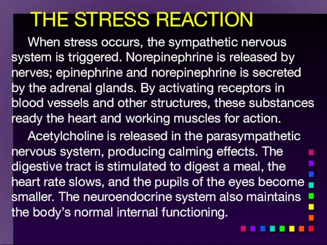 THE STRESS REACTION When stress occurs, the sympathetic nervous system is