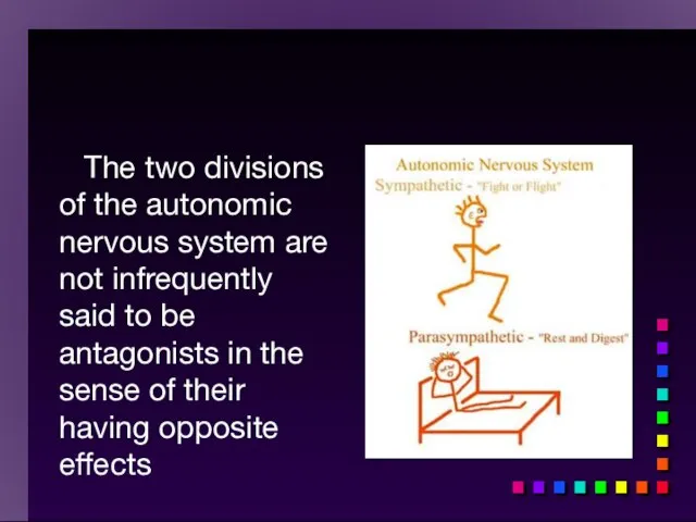 The two divisions of the autonomic nervous system are not infrequently