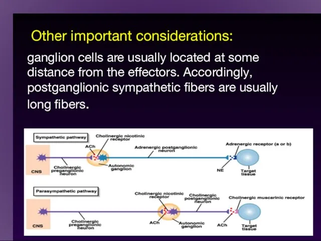 Other important considerations: ganglion cells are usually located at some distance