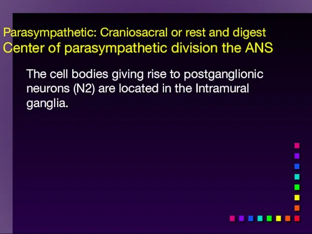 Parasympathetic: Craniosacral or rest and digest Center of parasympathetic division the