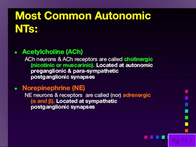 Most Common Autonomic NTs: Acetylcholine (ACh) ACh neurons & ACh receptors