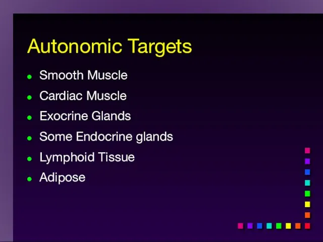 Autonomic Targets Smooth Muscle Cardiac Muscle Exocrine Glands Some Endocrine glands Lymphoid Tissue Adipose