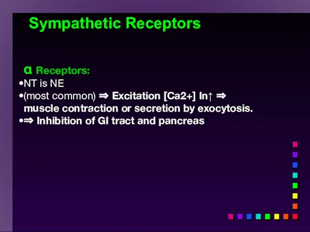 Sympathetic Receptors α Receptors: NT is NE (most common) ⇒ Excitation