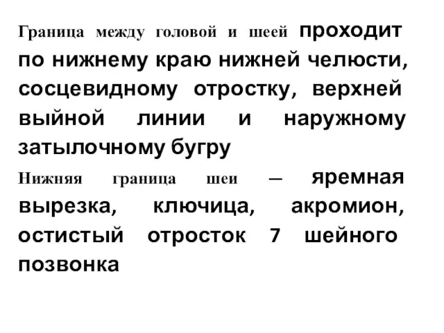 Граница между головой и шеей проходит по нижнему краю нижней челюсти,