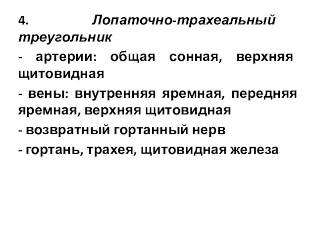 4. Лопаточно-трахеальный треугольник - артерии: общая сонная, верхняя щитовидная - вены: