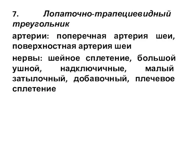 7. Лопаточно-трапециевидный треугольник артерии: поперечная артерия шеи, поверхностная артерия шеи нервы: