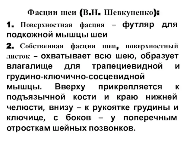 Фасции шеи (В.Н. Шевкуненко): 1. Поверхностная фасция – футляр для подкожной