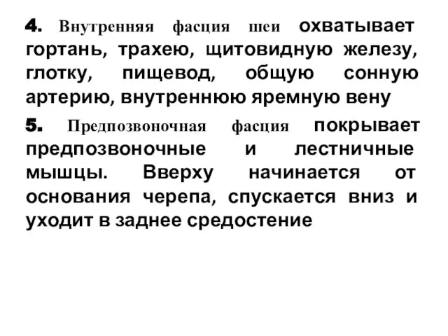 4. Внутренняя фасция шеи охватывает гортань, трахею, щитовидную железу, глотку, пищевод,