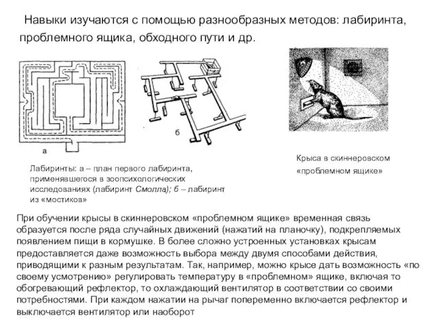 Навыки изучаются с помощью разнообразных методов: лабиринта, проблемного ящика, обходного пути