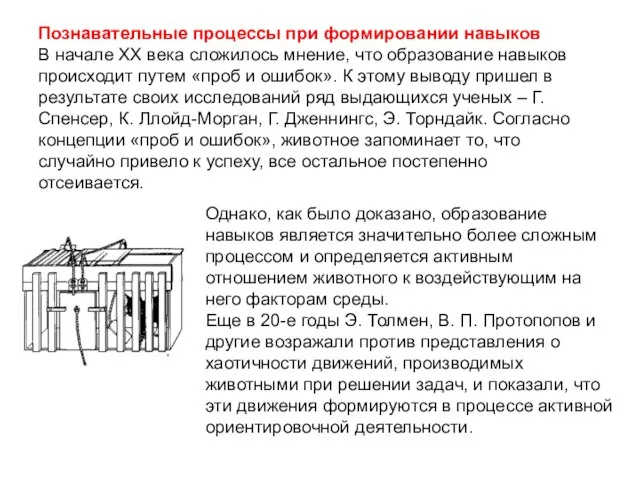 Познавательные процессы при формировании навыков В начале ХХ века сложилось мнение,