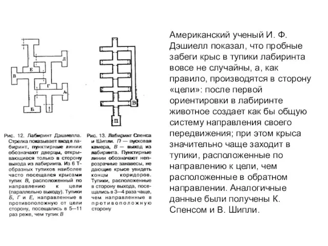 Американский ученый И. Ф. Дэшиелл показал, что пробные забеги крыс в