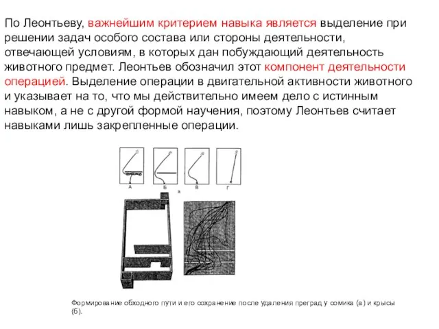 По Леонтьеву, важнейшим критерием навыка является выделение при решении задач особого