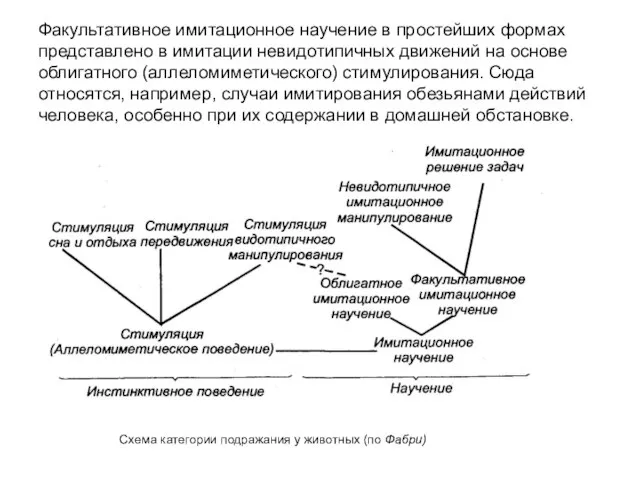 Факультативное имитационное научение в простейших формах представлено в имитации невидотипичных движений