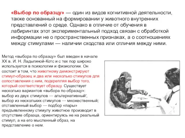 «Выбор по образцу» — один из видов когнитивной деятельности, также основанный