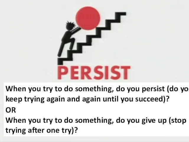 When you try to do something, do you persist (do you
