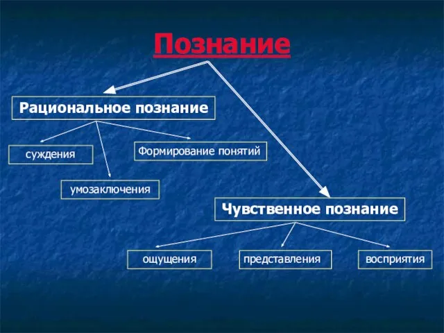 Познание Рациональное познание Чувственное познание суждения умозаключения Формирование понятий ощущения представления восприятия