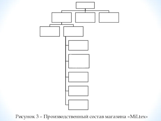 Рисунок 3 – Производственный состав магазина «MiLtex»