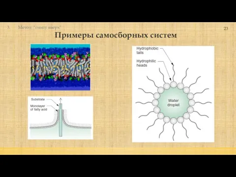 Примеры самосборных систем 23 Метод "снизу вверх"