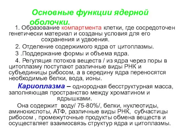 Основные функции ядерной оболочки. 1. Образование компартмента клетки, где сосредоточен генетически