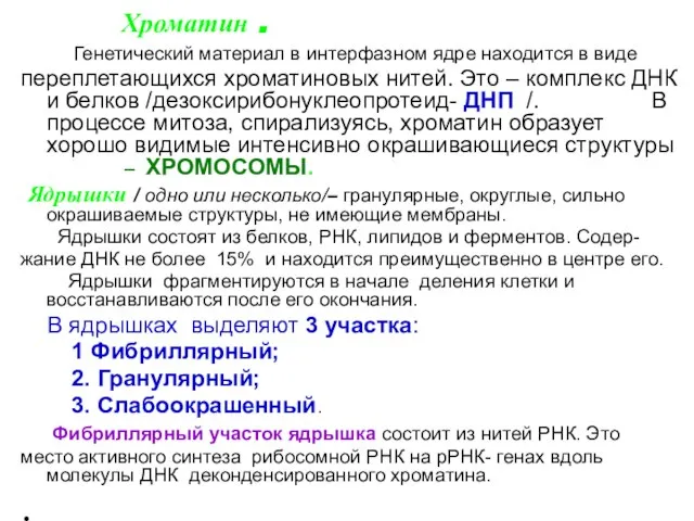 Хроматин . Генетический материал в интерфазном ядре находится в виде переплетающихся