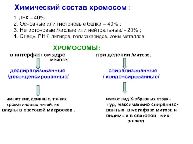 Химический состав хромосом : 1. ДНК – 40% ; 2. Основные